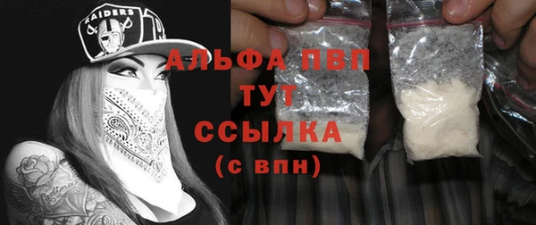 молекула духа Каменка