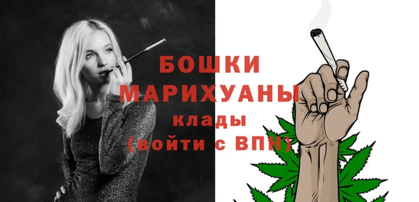 молекула духа Каменка