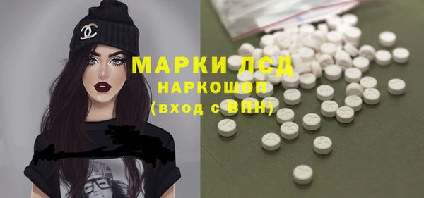 молекула духа Каменка