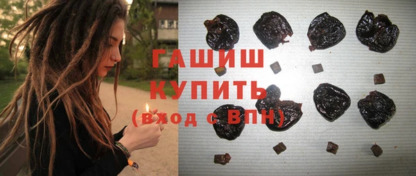 молекула духа Каменка