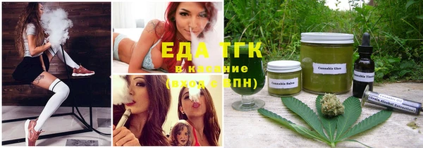 молекула духа Каменка