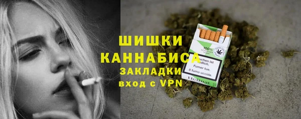молекула духа Каменка