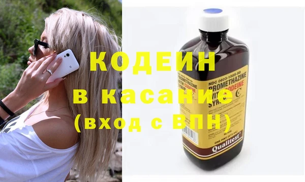 молекула духа Каменка